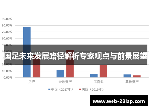 国足未来发展路径解析专家观点与前景展望
